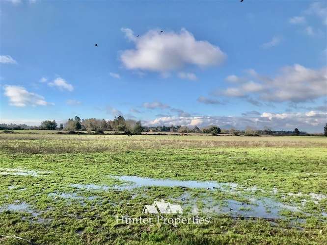 Hermoso Loteo de Parcelas - venta de 5.000 M2, Aurora -Talca - Imagen 12