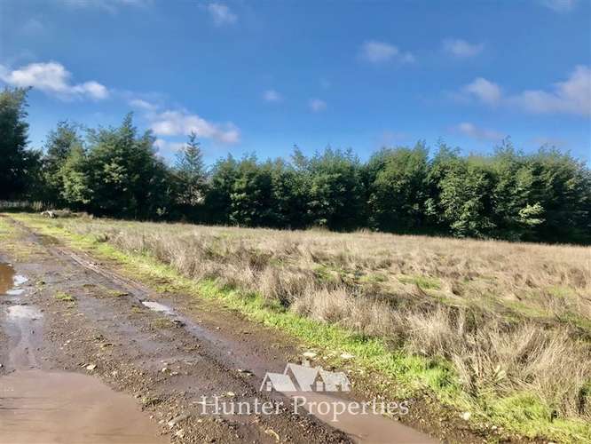 Hermoso Loteo de Parcelas - venta de 5.000 M2, Aurora -Talca - Imagen 4
