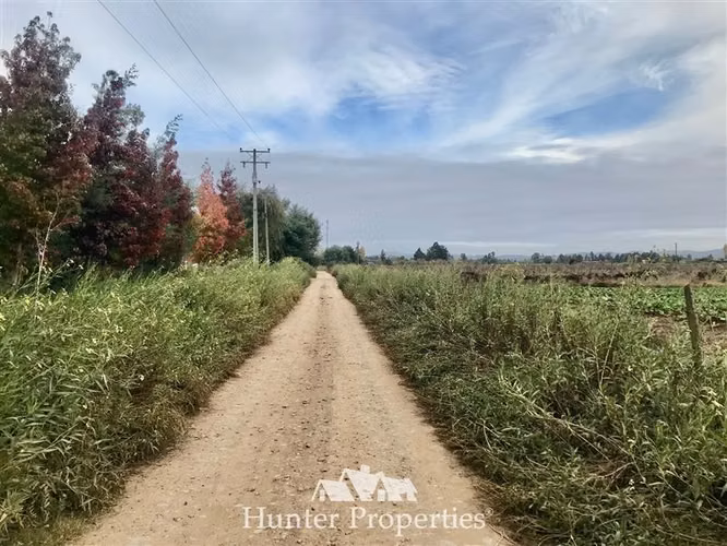 Sitio plano de 5.000 M2 en venta en campo Purísima, Talca,