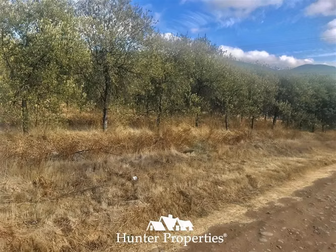 Parcela en venta en Talca - Imagen 11