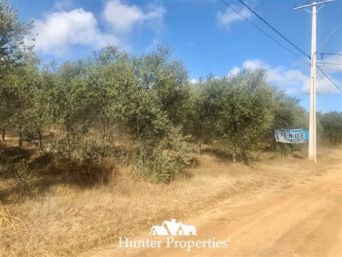 Parcela en venta en Talca