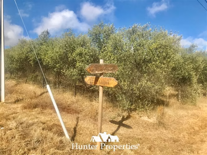 Parcela en venta en Talca
