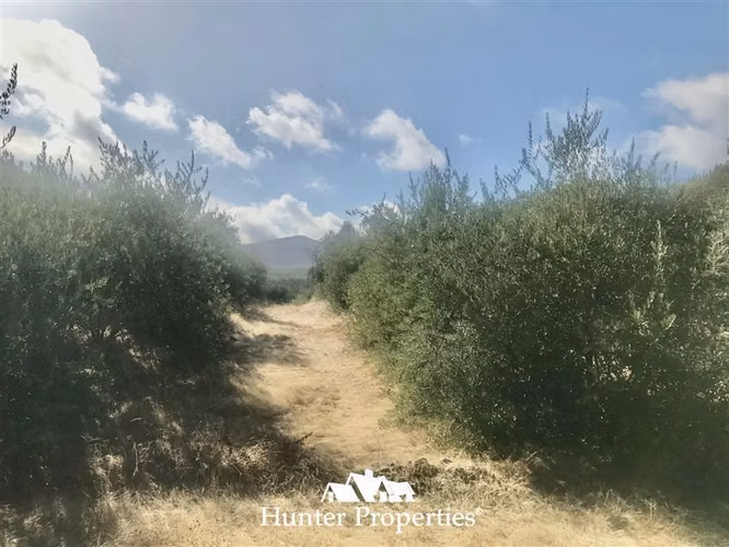 Terreno Construccion en venta en Talca