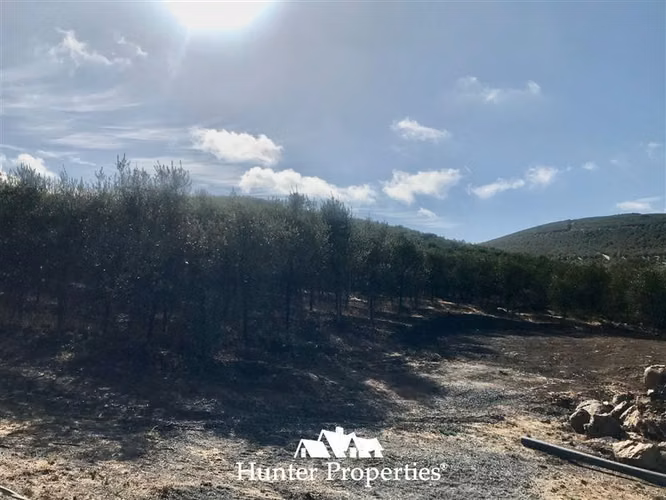 hermoso Sitio Urbanizado de 0,5 Ha en venta -Pencahue Talca