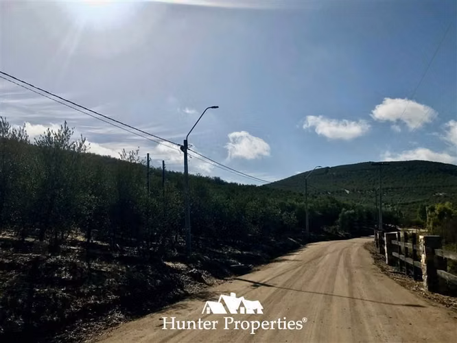 hermoso Sitio Urbanizado de 0,5 Ha en venta -Pencahue Talca