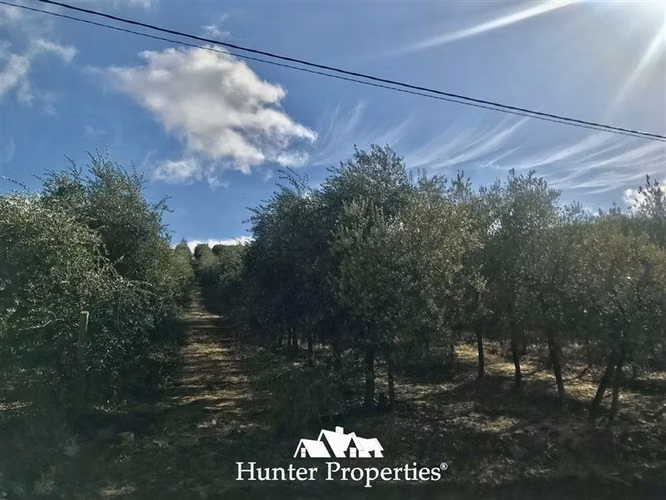hermoso Sitio Urbanizado de 0,5 Ha en venta -Pencahue Talca