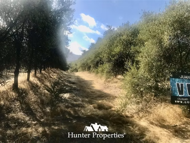 Sitio urbanizado de 0,5 Ha en venta en Pencahue, Quepo Talca