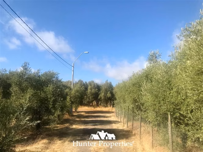 Sitio urbanizado de 0,5 Ha en venta en Pencahue, Quepo Talca