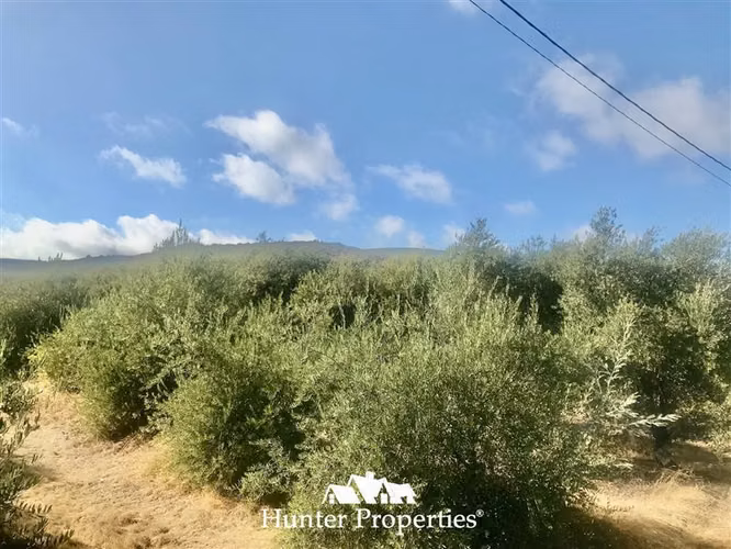 Sitio urbanizado de 0,5 Ha en venta en Pencahue, Quepo Talca