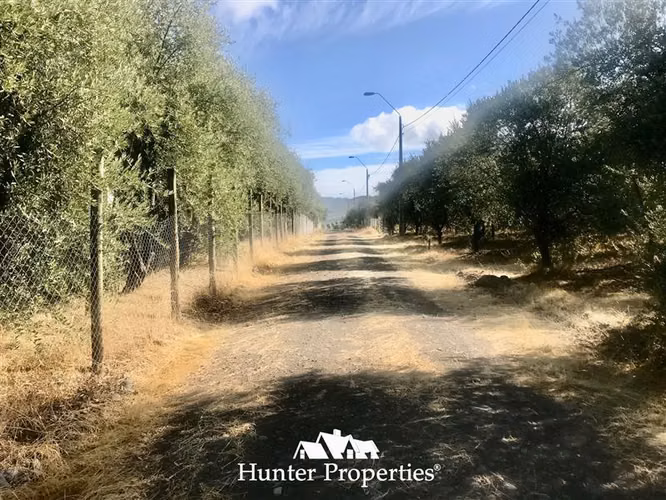 Sitio urbanizado de 0,5 Ha en venta en Pencahue, Quepo Talca