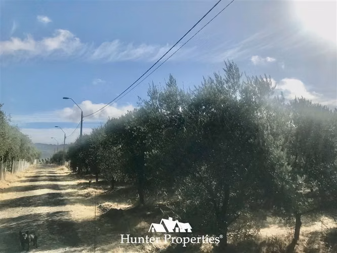 Sitio urbanizado de 0,5 Ha en venta en Pencahue, Quepo Talca