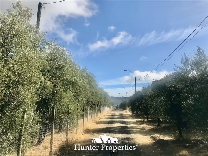Parcela en venta en Talca