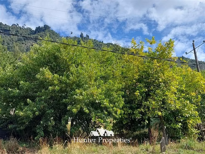 Parcela en venta con Gran Vista en Lago Ranco