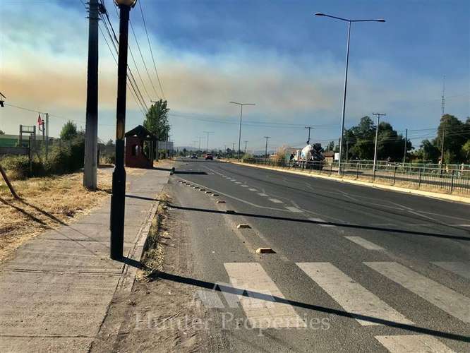 Sitio de 23,5 Ha en venta, sector el Sauce, Talca - Imagen 15