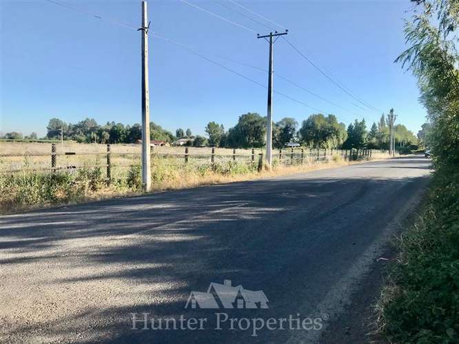 Sitio de 23,5 Ha en venta, sector el Sauce, Talca - Imagen 14