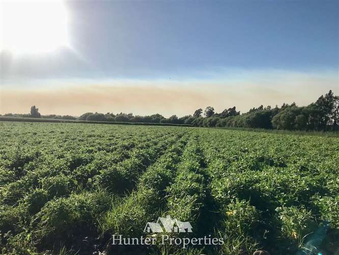 Sitio de 23,5 Ha en venta, sector el Sauce, Talca - Imagen 4