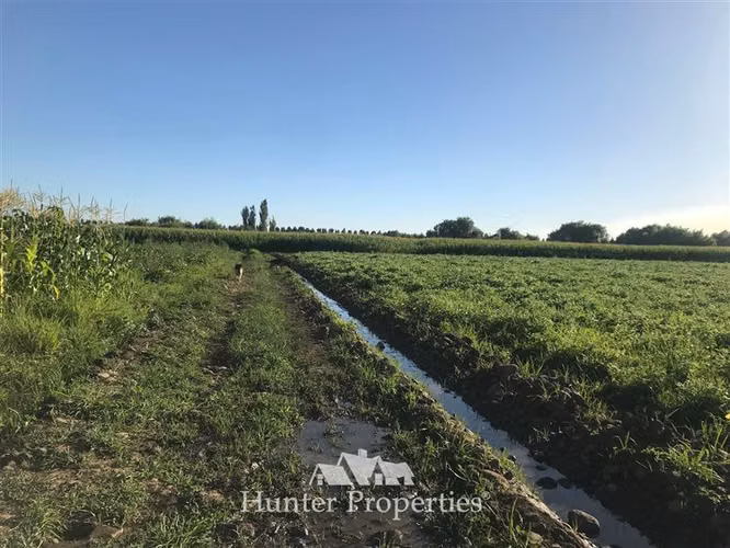 Sitio de 23,5 Ha en venta, sector el Sauce, Talca