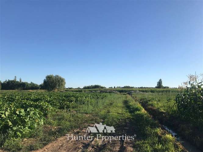 Sitio de 23,5 Ha en venta, sector el Sauce, Talca - Imagen 2
