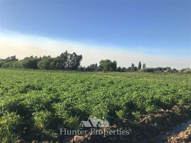 Agrícola en venta en Talca - Imagen 3