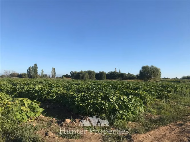 Parcela en venta en Talca