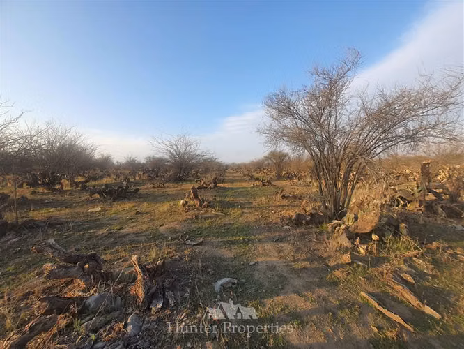Terrenos colina en venta sector el colorado - Imagen 6