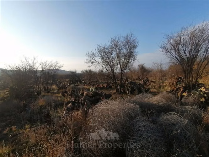 Terrenos colina en venta sector el colorado - Imagen 39
