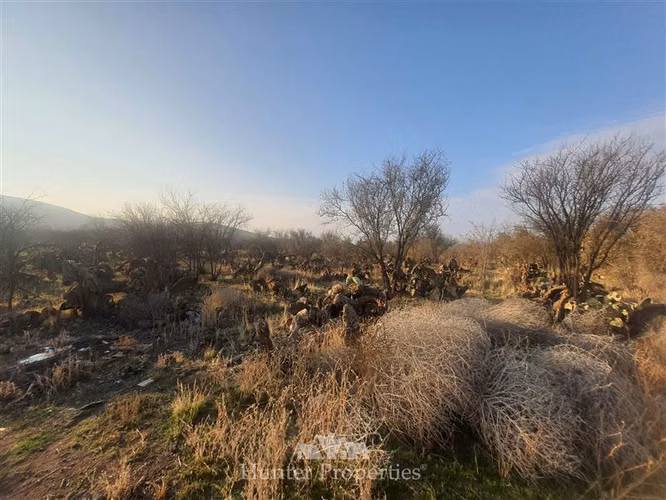 Terrenos colina en venta sector el colorado - Imagen 7