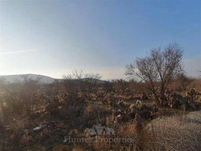 Terrenos colina en venta sector el colorado - Imagen 41