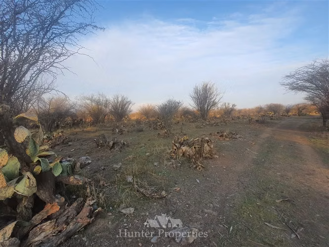 Terrenos colina en venta sector el colorado - Imagen 17