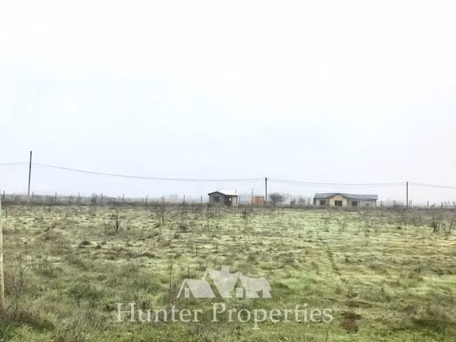 Sitio de 5.000 M2, en venta en Pelarco, sector el manzano - Imagen 17