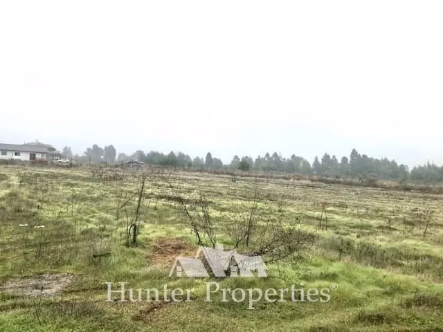 Sitio de 5.000 M2, en venta en Pelarco, sector el manzano - Imagen 10