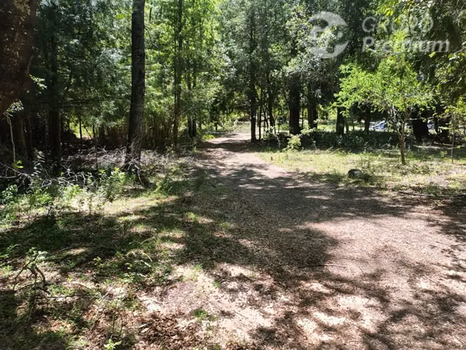 Parcela en venta, sector Los Pellines, región de Ñuble