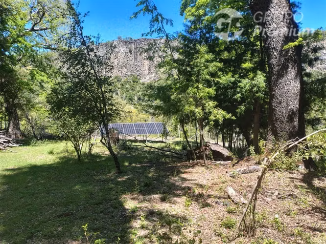Parcela en venta, sector Los Pellines, región de Ñuble