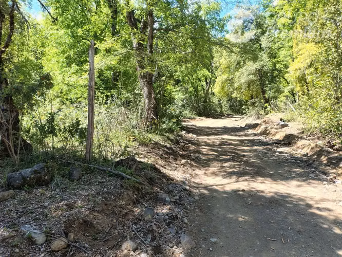 Parcela en venta, sector Los Pellines, región de Ñuble