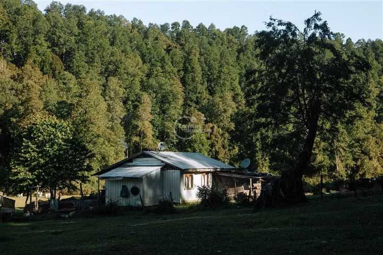 Agrícola en venta en Los Lagos