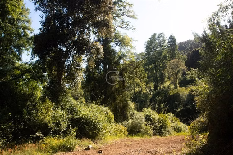 Agrícola en venta en Los Lagos