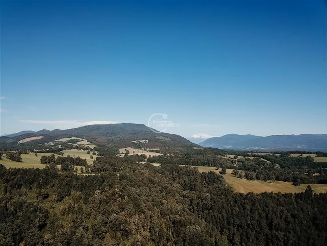 Agrícola en venta en Los Lagos