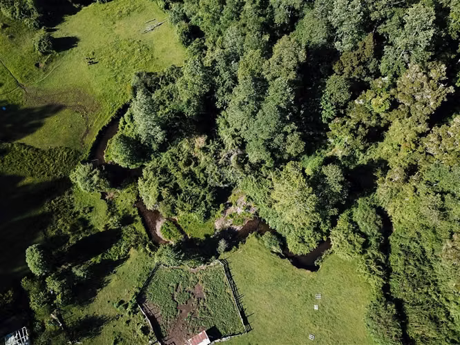 Agrícola en venta en Los Lagos
