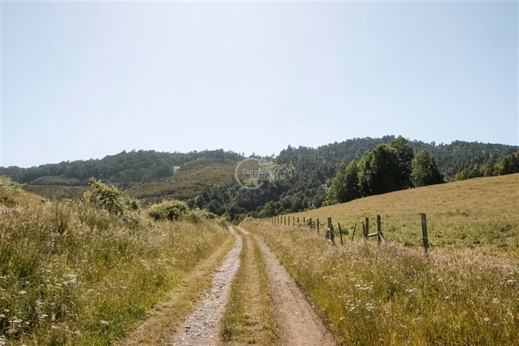 Agrícola en venta en Los Lagos