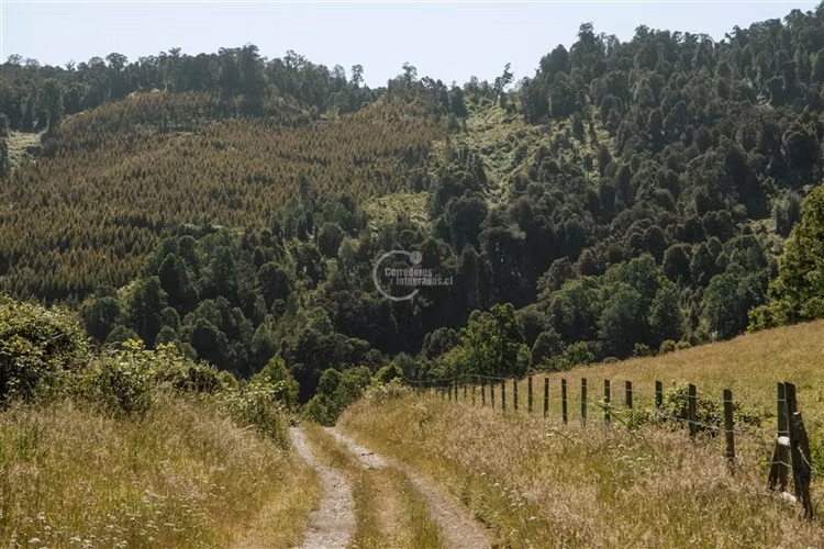 Agrícola en venta en Los Lagos