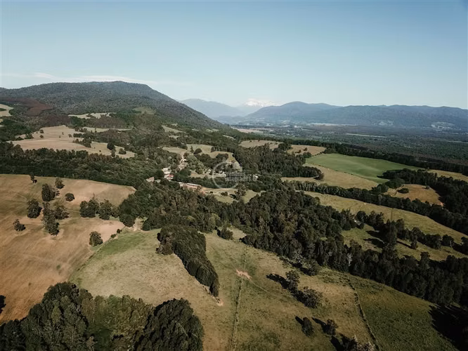 Agrícola en venta en Los Lagos