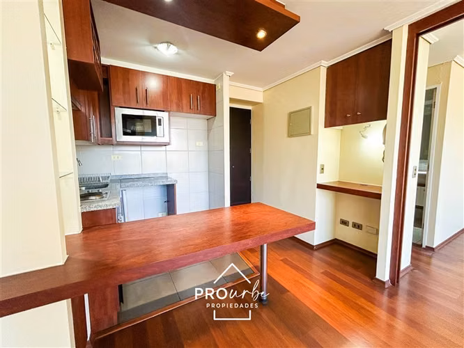 Depto en arriendo de 1D en Santiago con excelente ubicación