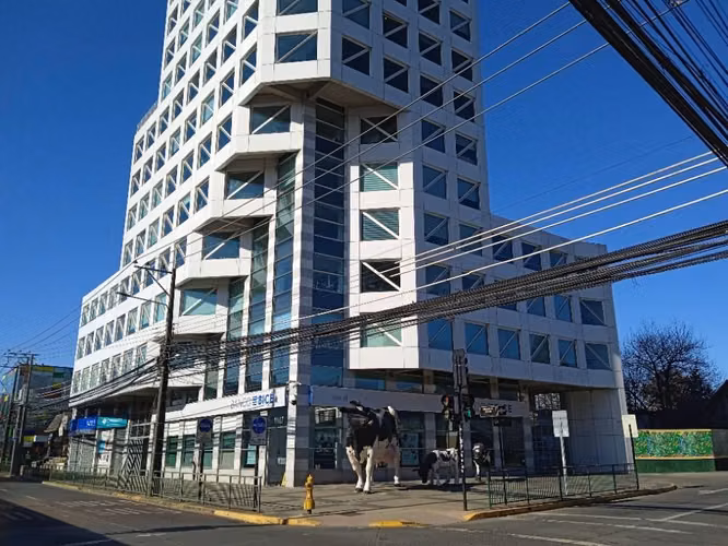 Oficina centro Osorno