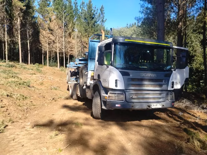 Camión forestal