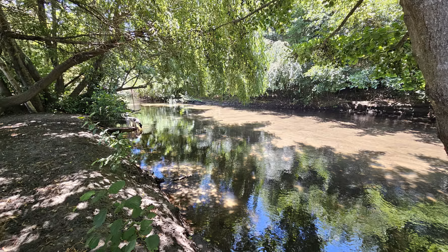 Vendo parcela en Río Claro