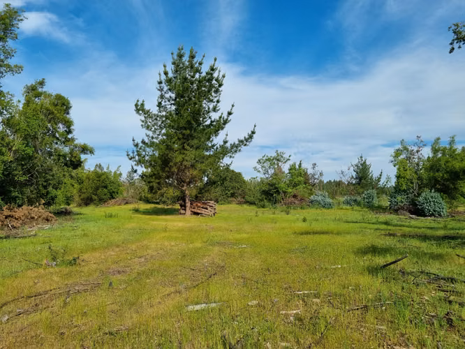 Terreno 27,95 ha con potencial agrícola e inmobiliario – Nuevo precio