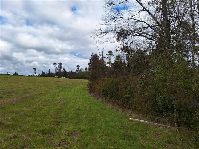 SITIO Opciones entre Villarrica, Loncoche y Gorbea