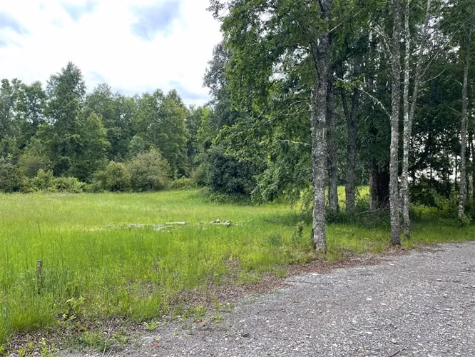 SITIO Opciones entre Villarrica, Loncoche y Gorbea