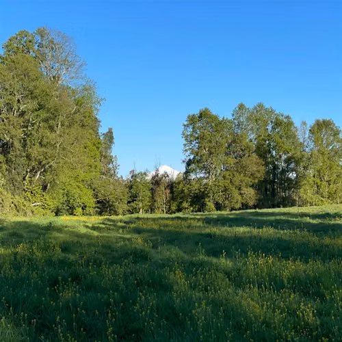 SITIO Opciones entre Villarrica, Loncoche y Gorbea