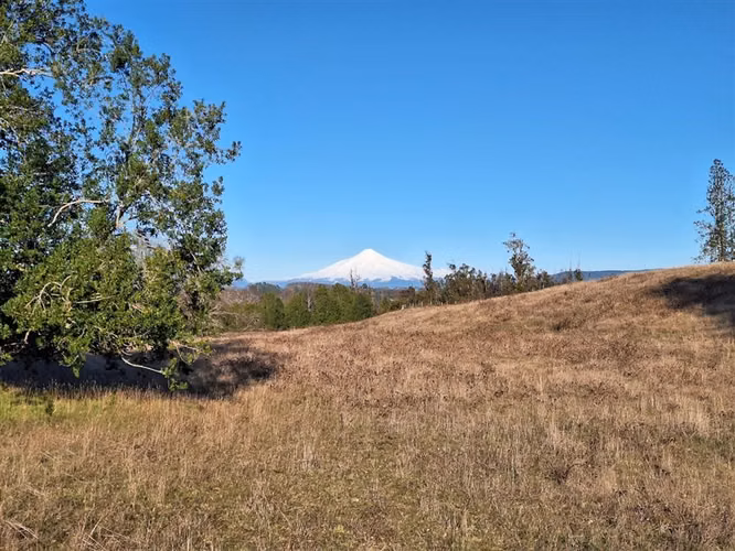 SITIO Opciones entre Villarrica, Loncoche y Gorbea